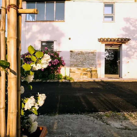 - Il Rione 公寓 洛雷托·阿普鲁蒂诺